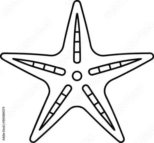 Fototapeta starfish icon outline vector illustration on transparent background