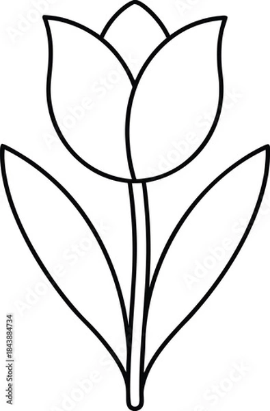 Fototapeta tulip icon outline vector illustration on transparent background