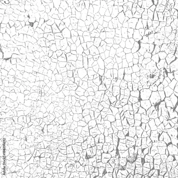 Fototapeta The cracks texture white and black.Grunge texture. Poster for your design. Dust overlay distress grain. Vector illustration. Isolated on white background