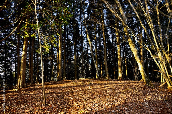 Fototapeta 道志山塊の岩下ノ丸山頂　朝焼けの頂
