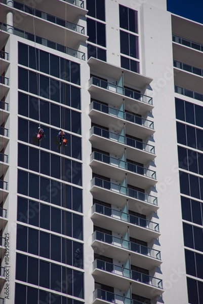 Obraz Modern High-Rise Building With Glass Facade And Rappelling Window cleaners Workers On A Clear Day in St. Petersburg, FL. Expansive glass panels and stacked balconies. Two workers in safety gear descen