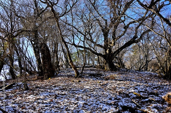 Fototapeta 道志山塊の御正体山　初冠雪の頃
