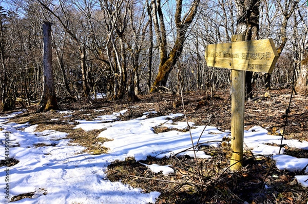 Fototapeta 道志山塊の御正体山　初冠雪の頃の山頂
