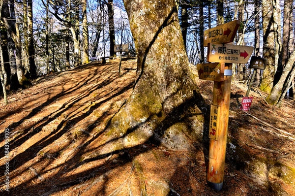 Fototapeta 道志山塊の御正体山　峰宮跡展望台の分岐
