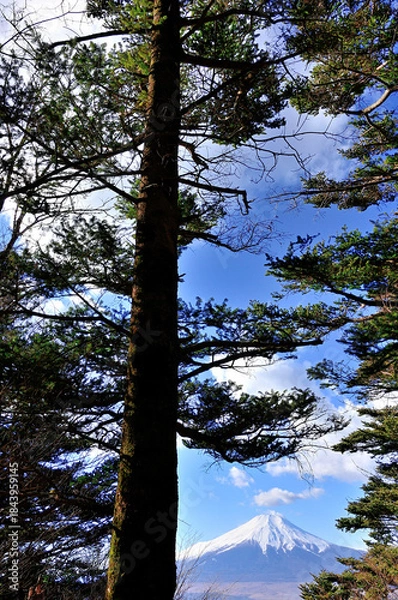 Fototapeta 道志山塊の御正体山　峰宮跡展望台から望む富士山
