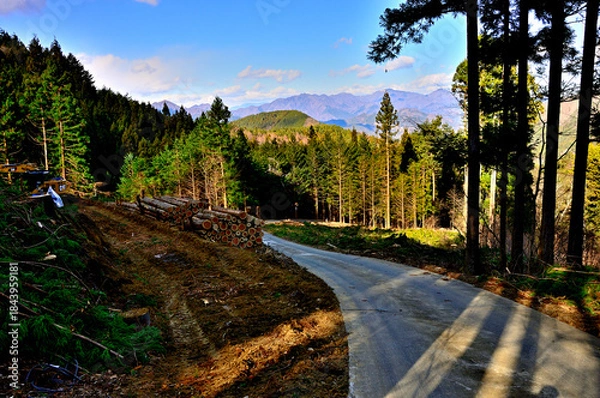 Fototapeta 道志山塊の御正体山　菅野林道より大菩薩連嶺を望む
