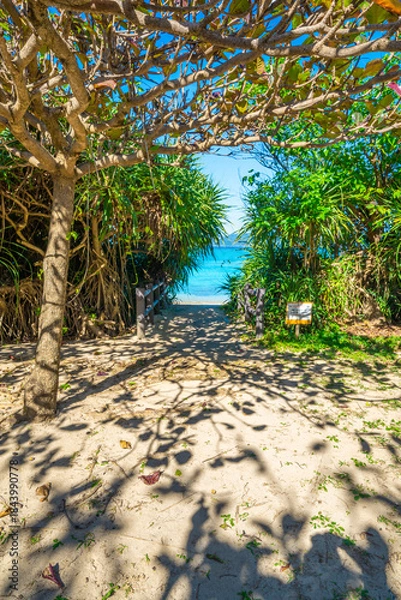 Obraz コバテイシの木陰と沖縄の海