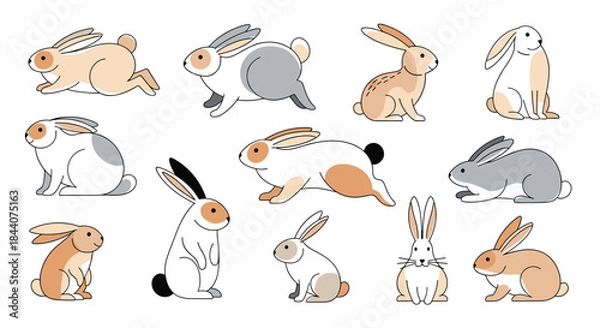 Fototapeta Various adorable cartoon rabbit characters illustrated in different positions and fur patterns, perfect for spring or Easter designs.