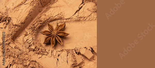 Obraz grunge background with spider web