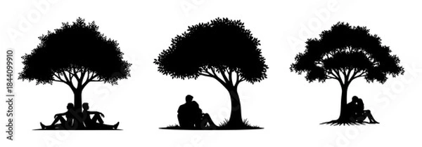 Fototapeta Silhouetted Trees: Tranquility and Reflection