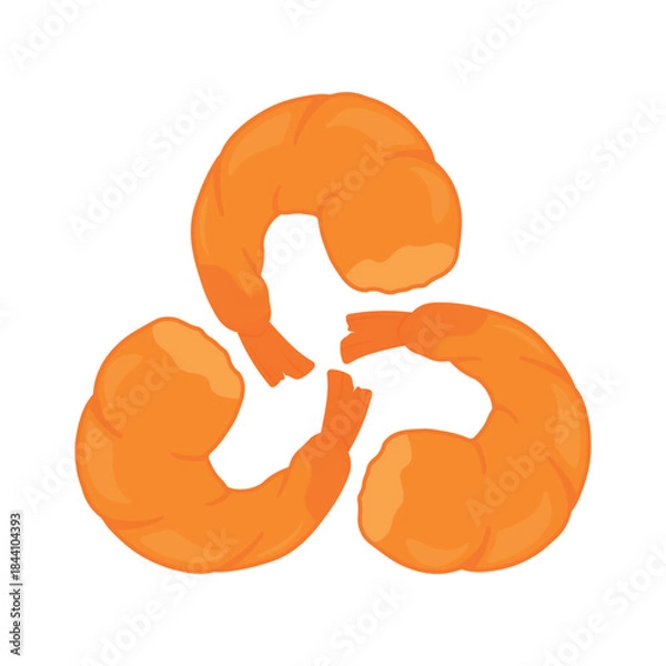 Obraz Cooked Shrimp Prawn Closeup Vector Illustration