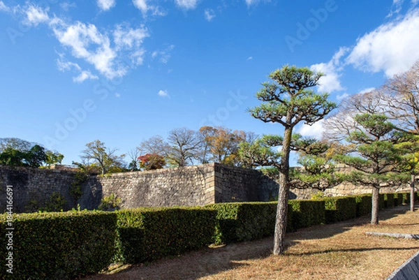 Obraz Osaka castle.