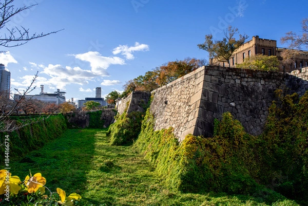 Obraz Osaka castle.