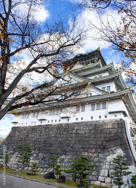 Obraz Osaka castle.
