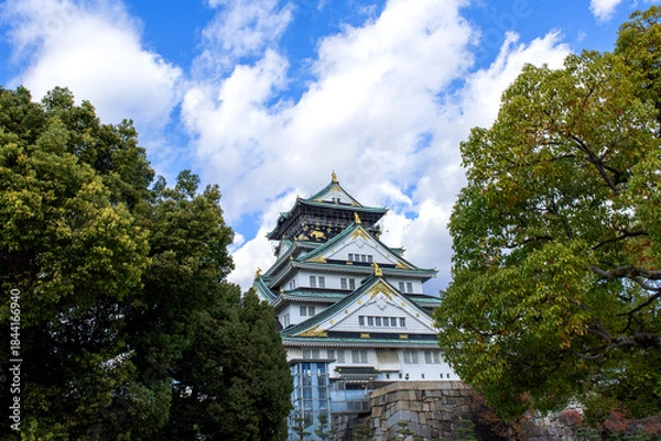 Obraz Osaka castle.