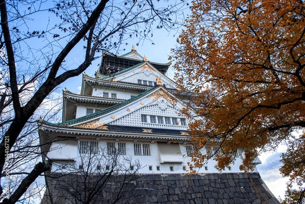 Obraz Osaka castle.