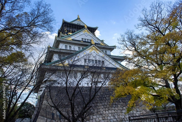 Obraz Osaka castle.
