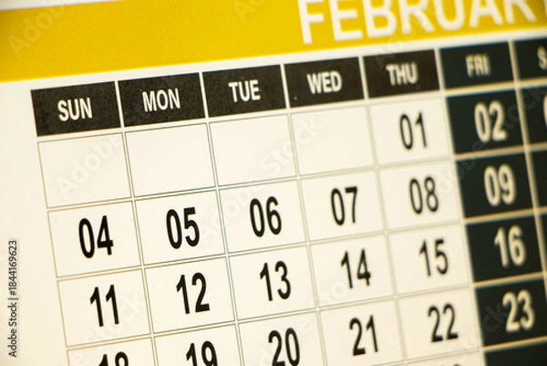 Fototapeta Calender date closeup focus on random date