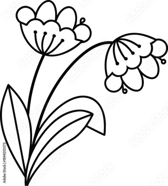 Fototapeta romantic flower outline vector illustration on transparent background