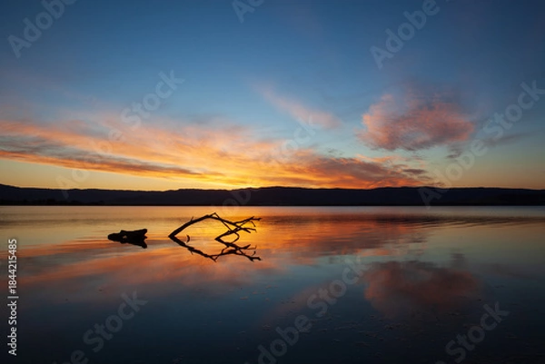 Fototapeta Wide angle view of a dead tree silhouette reflecting in shallow waters on the peacefully calm, windless shores of Lake Illawarra below a beautifully vibrant orange sunset. South Coast, NSW Australia.
