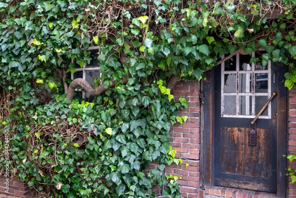 Fototapeta 日本の岡山県倉敷市の白壁の美しいレトロな町並み
