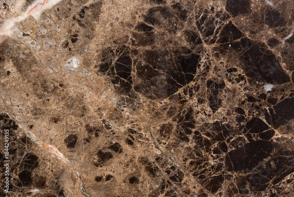 Obraz Elegant brown marble texture for your project.