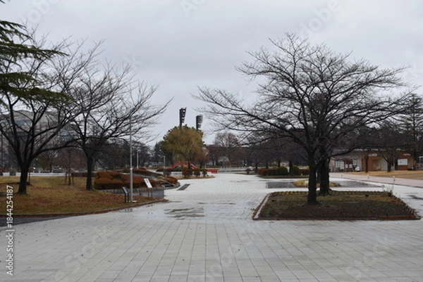 Obraz 開成山公園