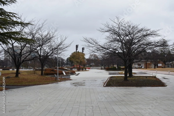 Obraz 開成山公園