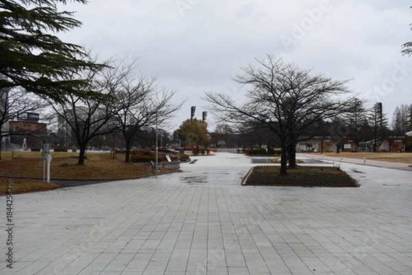 Obraz 開成山公園