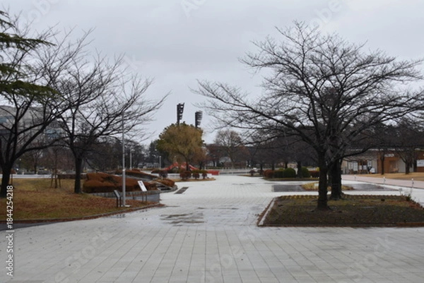 Obraz 開成山公園