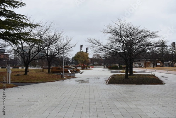 Obraz 開成山公園