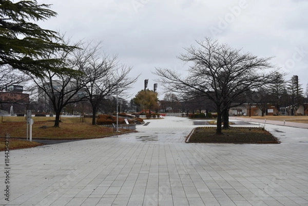 Obraz 開成山公園