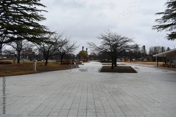 Obraz 開成山公園