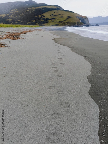 Obraz footprints on the beach