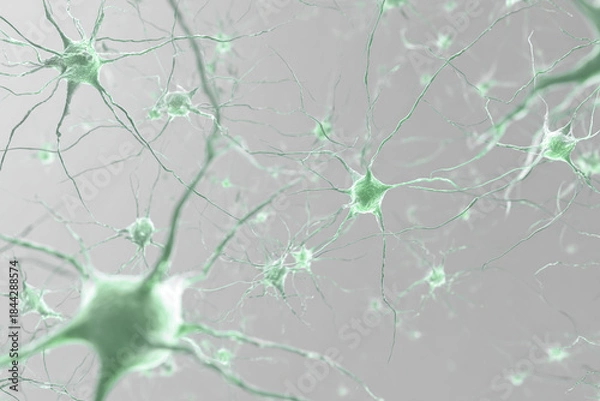 Obraz 3D Green Neurons Network Structure On Light Background