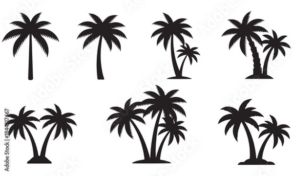 Fototapeta Collection of Black Silhouette Palm Trees on White Background