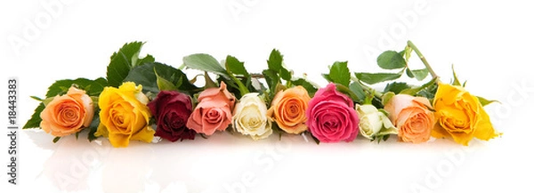 Obraz Girlanda z róż