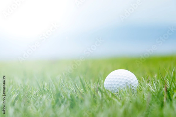 Obraz ゴルフボールと芝生