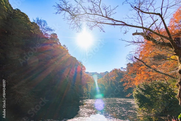 Obraz 紅葉の山肌