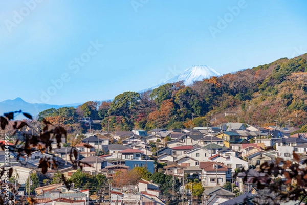 Obraz 富士山と街並み