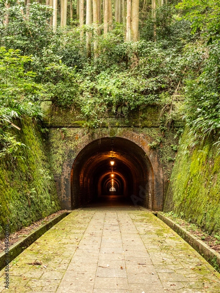 Obraz 明治のトンネル