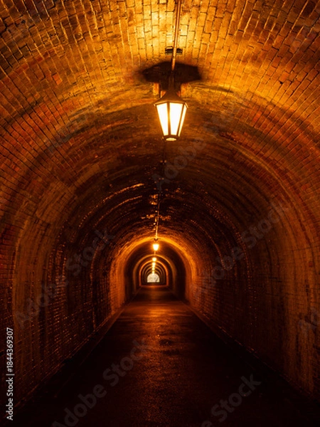 Obraz 明治のトンネル