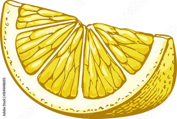 Fototapeta Hand drawn lemon wedge illustration