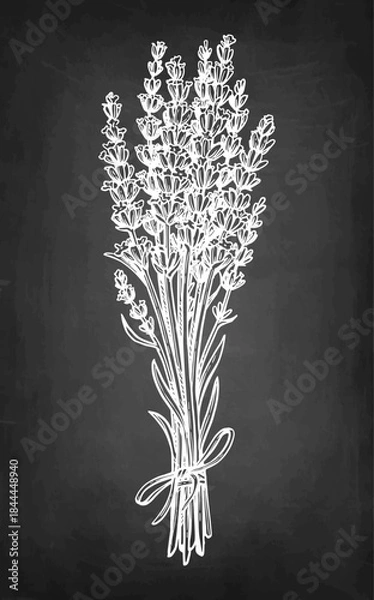 Fototapeta Bundle of lavender tied with twine chalk sketch