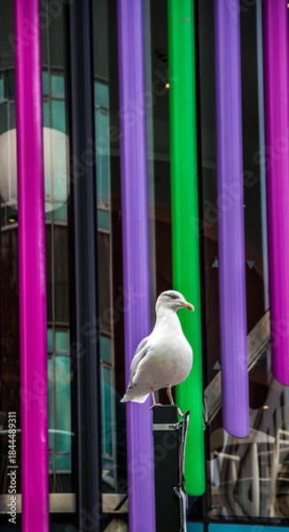 Obraz Liverpool, Merseyside, UK.