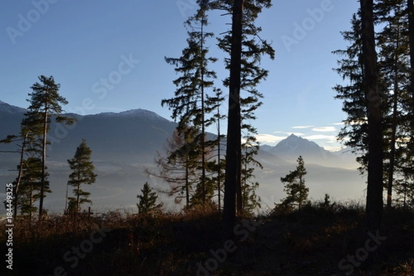 Fototapeta Wald und Berge