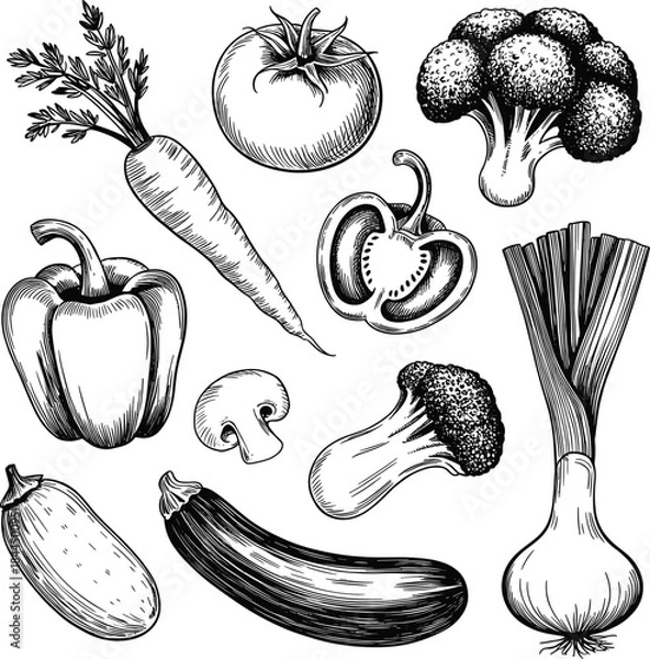 Fototapeta Vegetable sketch, hand-drawn illustration, black and white artwork, tomato, carrot, mushroom, broccoli, bell pepper, onion, zucchini, cucumber