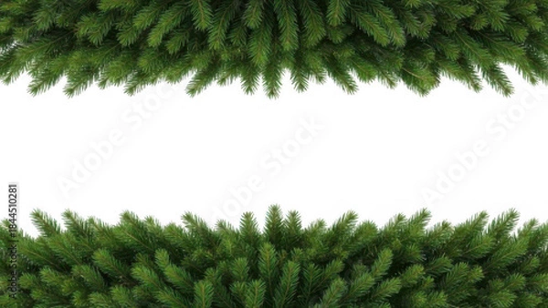 Fototapeta Green pine needles frame a dark center space