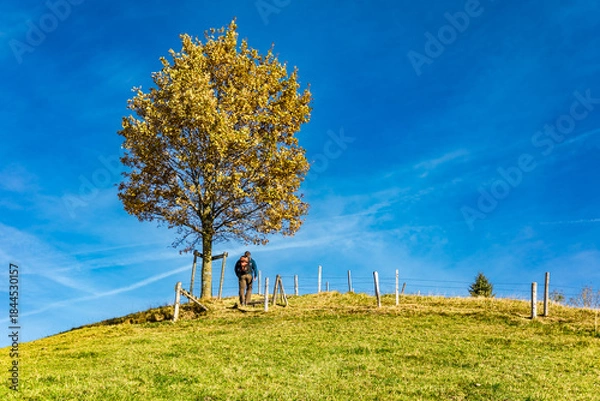 Fototapeta Wanderer auf dem Scheidegger Höhenweg im Herbst, Herbstwanderung im Allgäu mit Aussichtspunkte