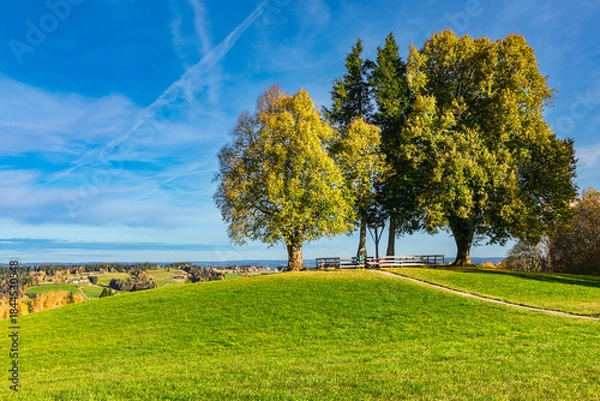 Fototapeta Scheidegger Höhenweg im Herbst, Herbstwanderung im Allgäu mit Aussichtspunkte